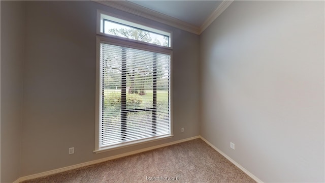 carpeted empty room featuring crown molding