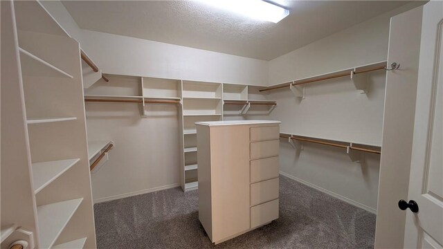 spacious closet with dark colored carpet