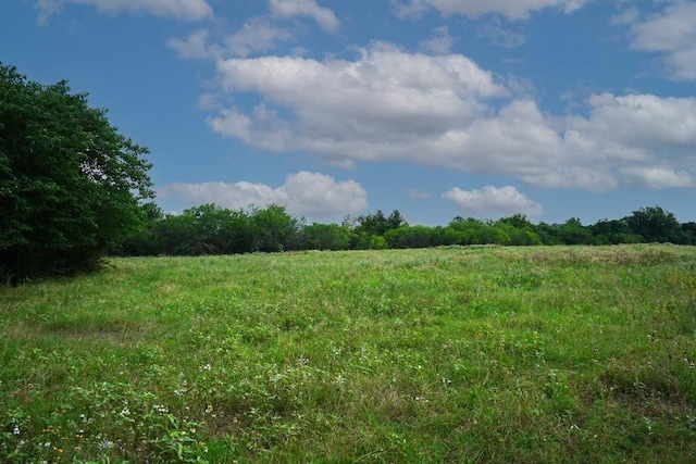 00081 Holle Ln, Washington, TX 77880