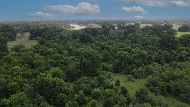 00081 Holle Ln, Washington, TX 77880