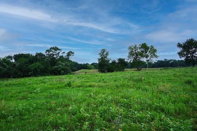 00081 Holle Ln, Washington, TX 77880