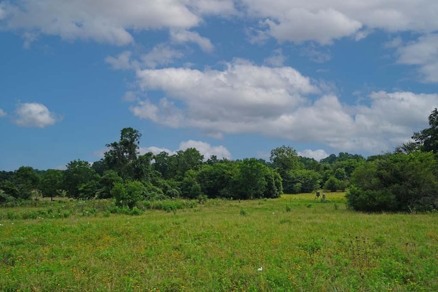 00081 Holle Ln, Washington, TX 77880