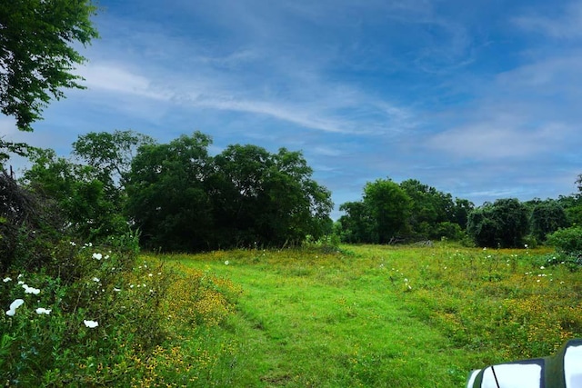 00081 Holle Ln, Washington, TX 77880