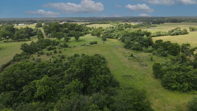00081 Holle Ln, Washington, TX 77880