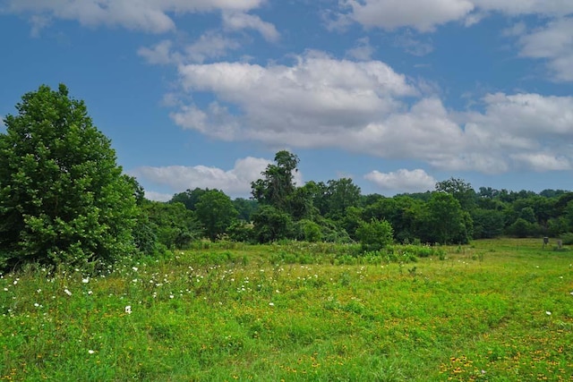 00081 Holle Ln, Washington, TX 77880
