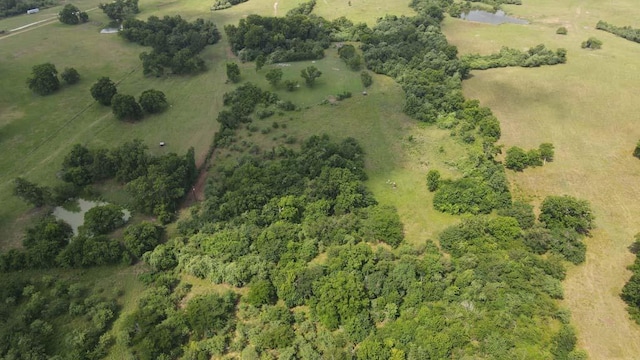 00081 Holle Ln, Washington, TX 77880
