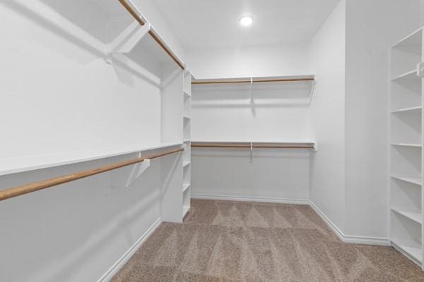 spacious closet with carpet floors