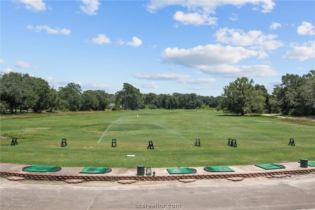 view of community with a lawn