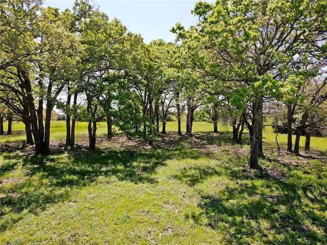 10698 Fm 1227th Rd, Navasota, TX 77868