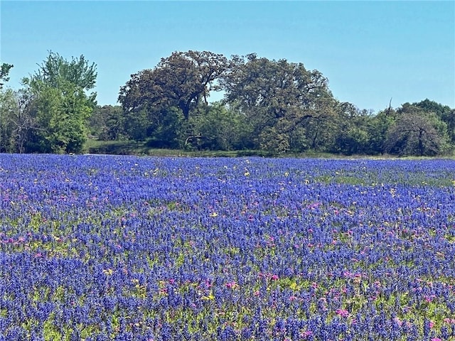 10698 Fm 1227th Rd, Navasota, TX 77868