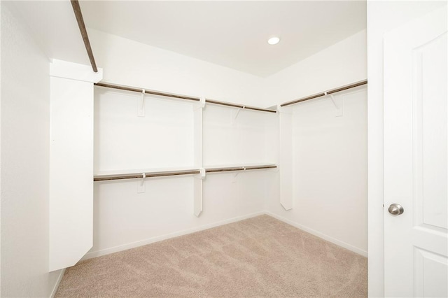 spacious closet featuring light carpet