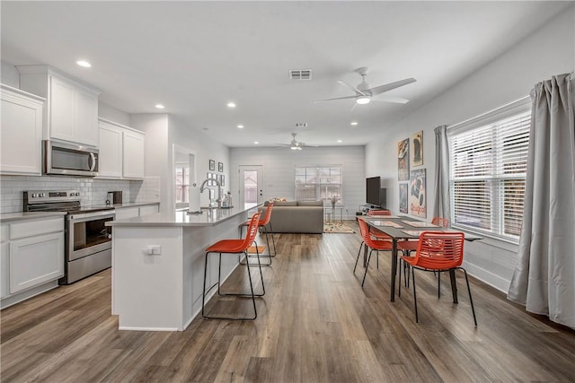 1749 Dakota Ln, College Station, TX 77845 - kitchen with stainless steel appliances, a ceiling fan, open floor plan, plenty of natural light, and recessed lighting