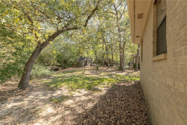 view of yard featuring a storage shed