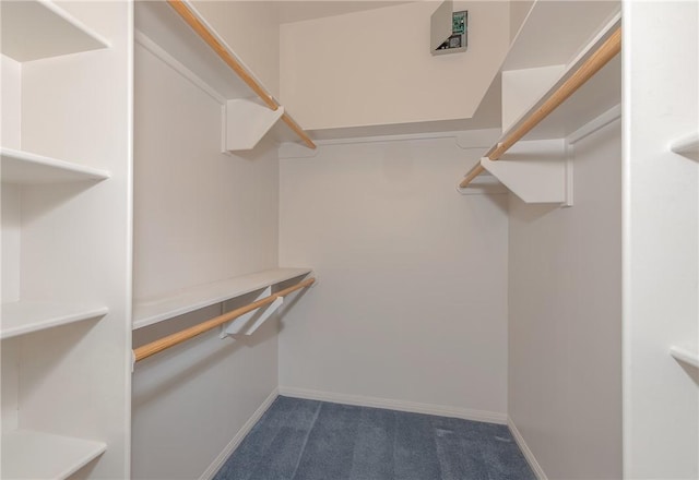 spacious closet featuring dark colored carpet