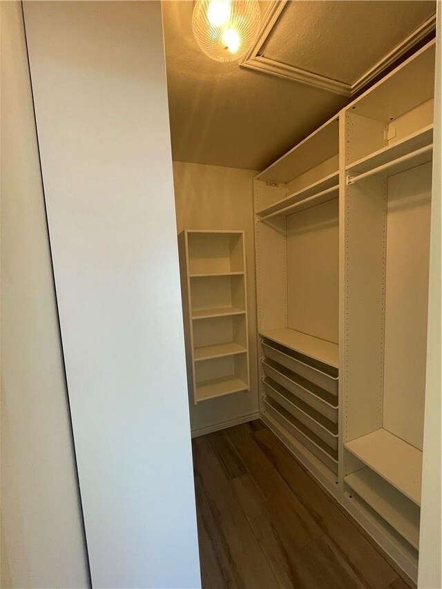 15933 Goliad Loop, Temple, TX 76502 - walk in closet with dark wood-type flooring
