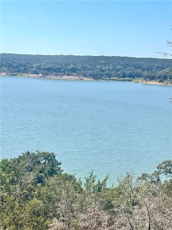 15933 Goliad Loop, Temple, TX 76502 - water view