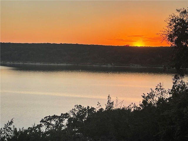 15933 Goliad Loop, Temple, TX 76502 - water view with a heavily wooded area