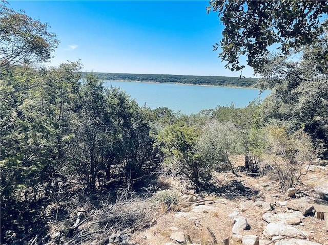 15933 Goliad Loop, Temple, TX 76502 - water view with a forest