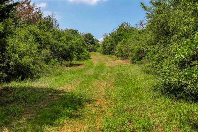2330 County Road 329, Milano, TX 76556 - photo 40