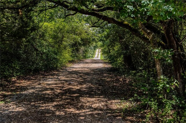 2330 County Road 329, Milano, TX 76556 - photo 32