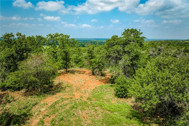 2330 County Road 329, Milano, TX 76556 - photo 4