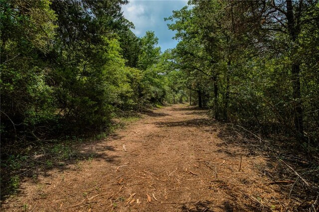 2330 County Road 329, Milano, TX 76556 - photo 39