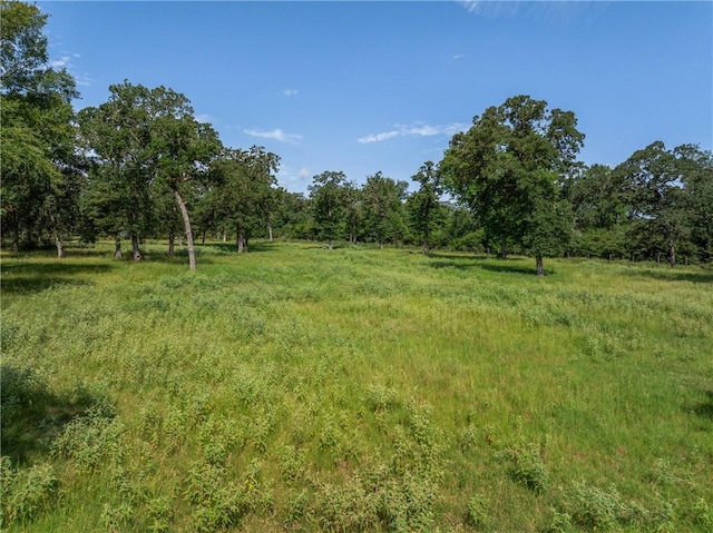 7244 Fm 2549, Hearne, TX 77859 - photo 31