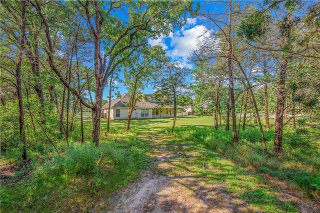 4662 Hidden Springs Way, College Station, TX 77845 - view of green lawn