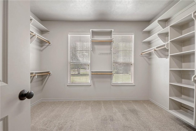4662 Hidden Springs Way, College Station, TX 77845 - spacious closet featuring carpet