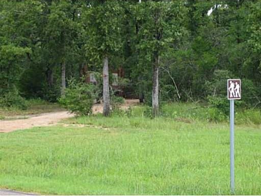 3719 Tatonga Trl, College Station, TX 77845 - photo 24