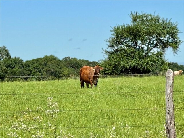 6376 Hunters Crossing Trl, Bryan, TX 77808 - photo 11