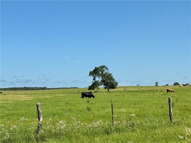 6376 Hunters Crossing Trl, Bryan, TX 77808 - photo 12
