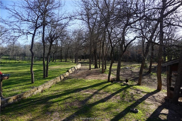 view of community with a yard