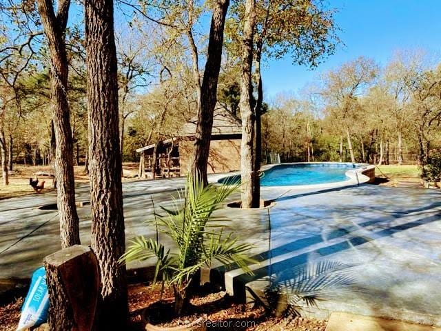 view of swimming pool