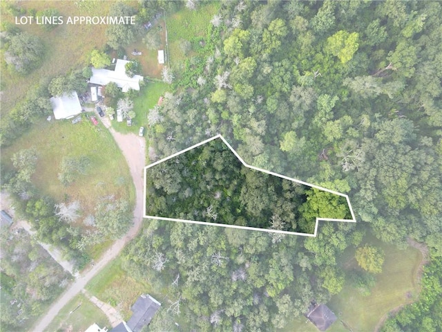 TBD Tanglewood Ln, Somerville, TX 77879 - photo 1