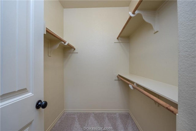 walk in closet with light colored carpet