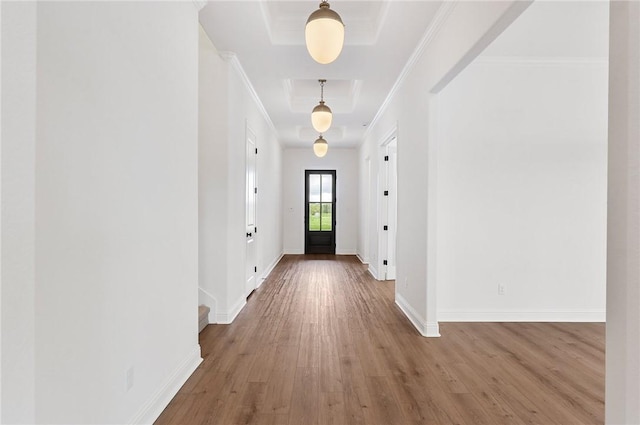 foyer featuring a raised ceiling, crown molding, and hardwood / wood-style flooring