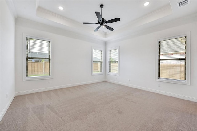 unfurnished room featuring a raised ceiling, light carpet, and a healthy amount of sunlight