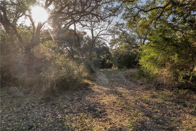 0 William Penn Rd, Washington, TX 77880 - photo 10