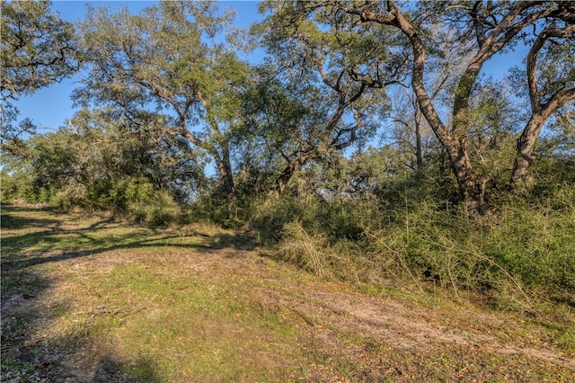 0 William Penn Rd, Washington, TX 77880 - photo 8