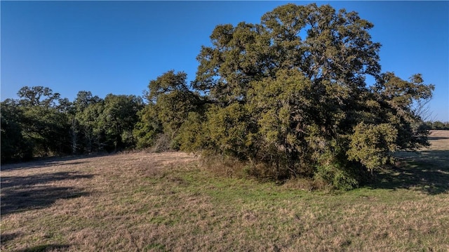 0 William Penn Rd, Washington, TX 77880 - photo 6