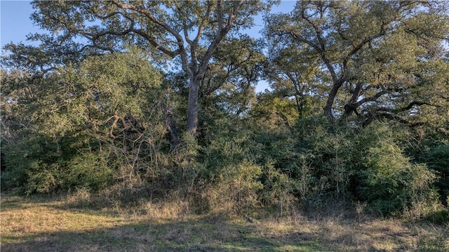 0 William Penn Rd, Washington, TX 77880 - photo 9