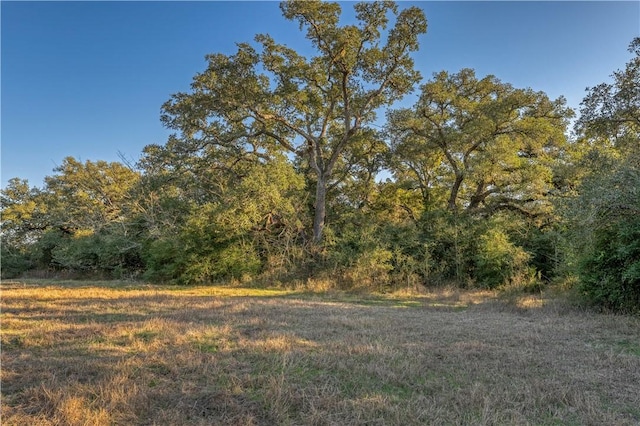 0 William Penn Rd, Washington, TX 77880 - photo 4