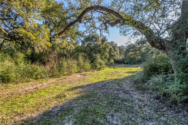 0 William Penn Rd, Washington, TX 77880 - photo 5