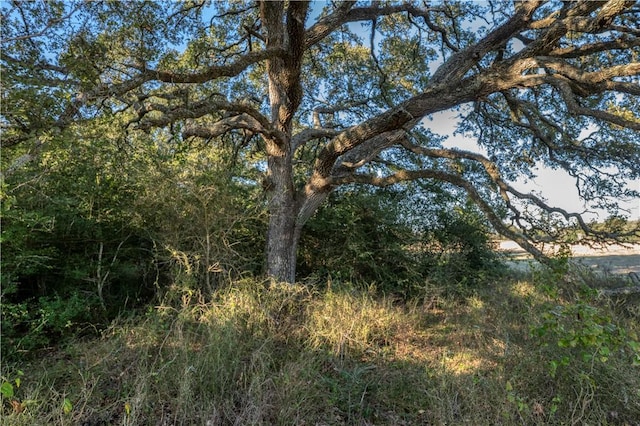 0 William Penn Rd, Washington, TX 77880 - photo 2
