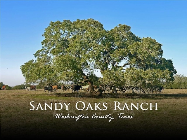 0 William Penn Rd, Washington, TX 77880 - photo 1