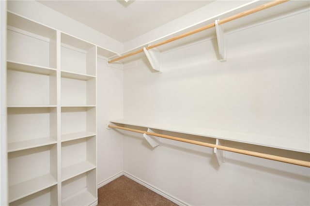 spacious closet featuring carpet flooring