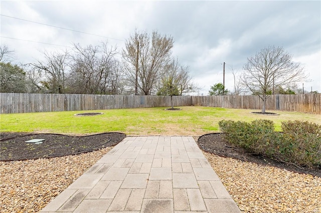 view of yard with a fenced backyard