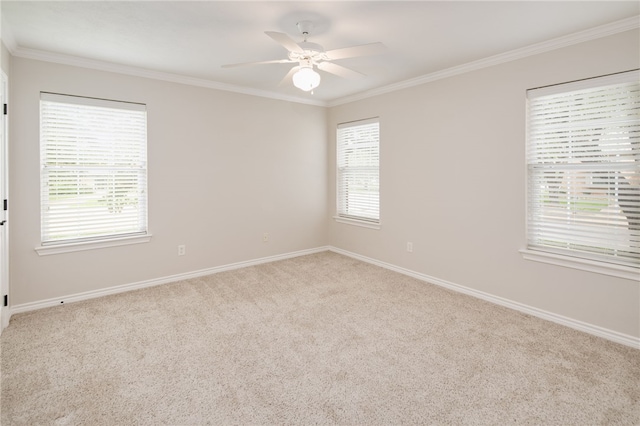 901 Bob White St, Bryan, TX 77802 - photo 26