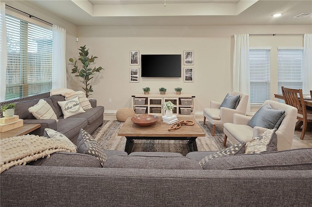 living room with a raised ceiling and hardwood / wood-style floors